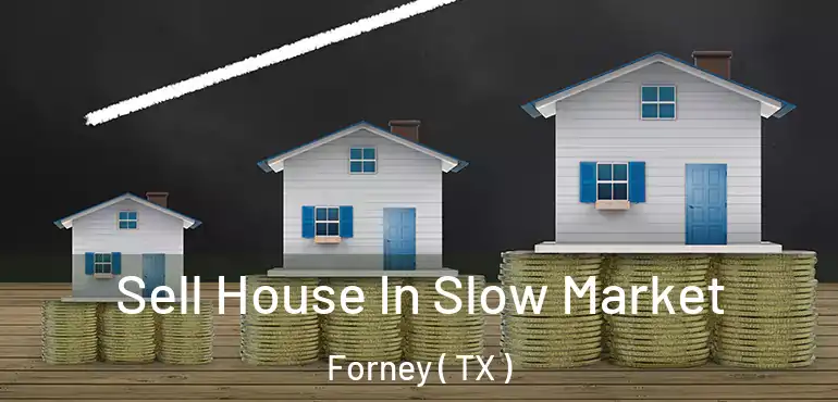  Sell House In Slow Market Forney ( TX )