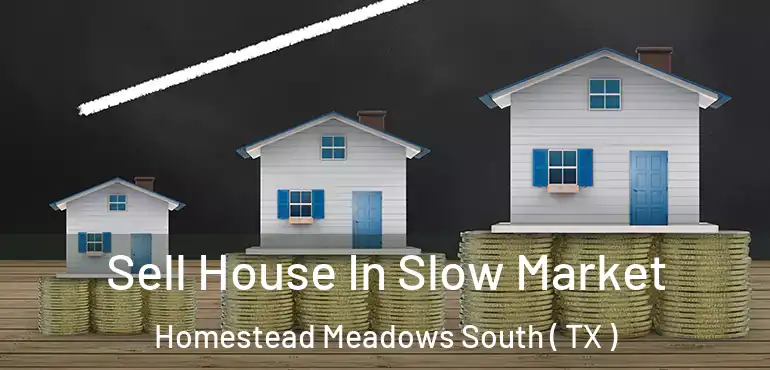  Sell House In Slow Market Homestead Meadows South ( TX )