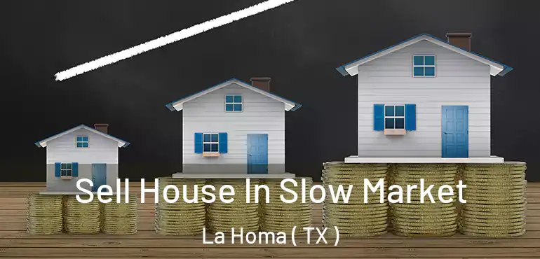  Sell House In Slow Market La Homa ( TX )