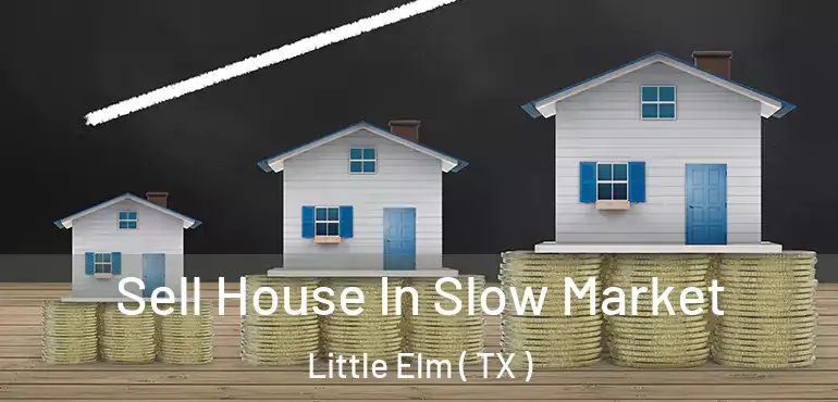  Sell House In Slow Market Little Elm ( TX )