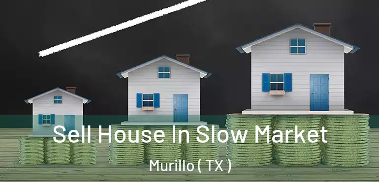  Sell House In Slow Market Murillo ( TX )