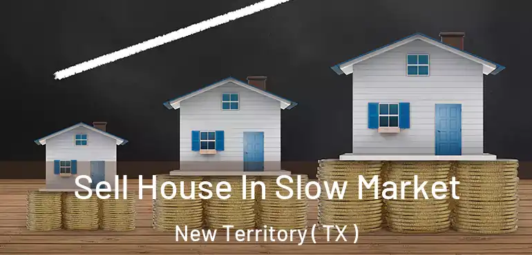  Sell House In Slow Market New Territory ( TX )