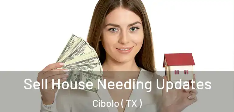  Sell House Needing Updates Cibolo ( TX )