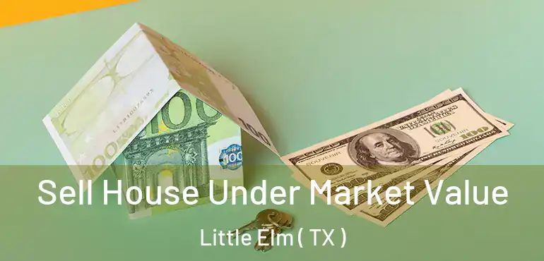  Sell House Under Market Value Little Elm ( TX )
