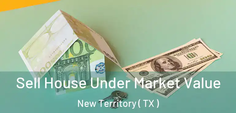  Sell House Under Market Value New Territory ( TX )
