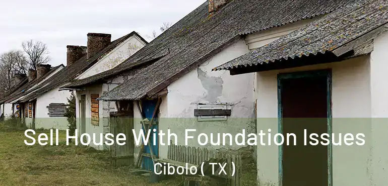  Sell House With Foundation Issues Cibolo ( TX )