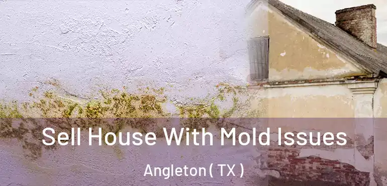  Sell House With Mold Issues Angleton ( TX )