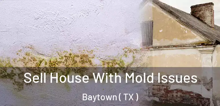  Sell House With Mold Issues Baytown ( TX )