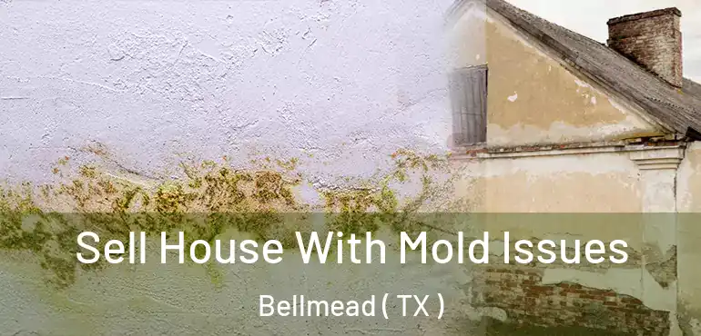  Sell House With Mold Issues Bellmead ( TX )