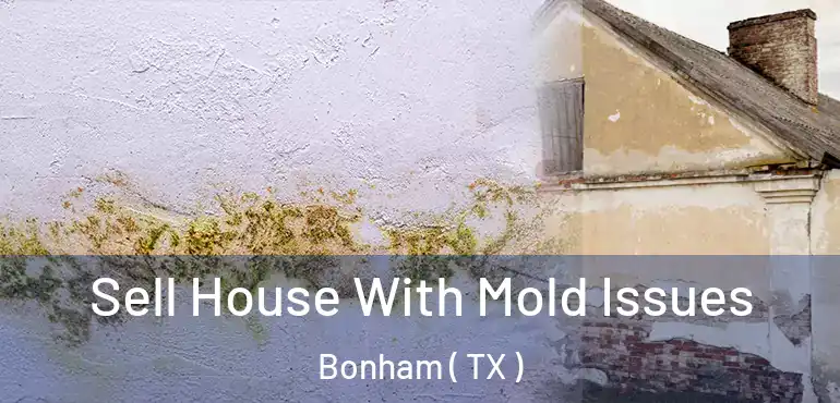  Sell House With Mold Issues Bonham ( TX )