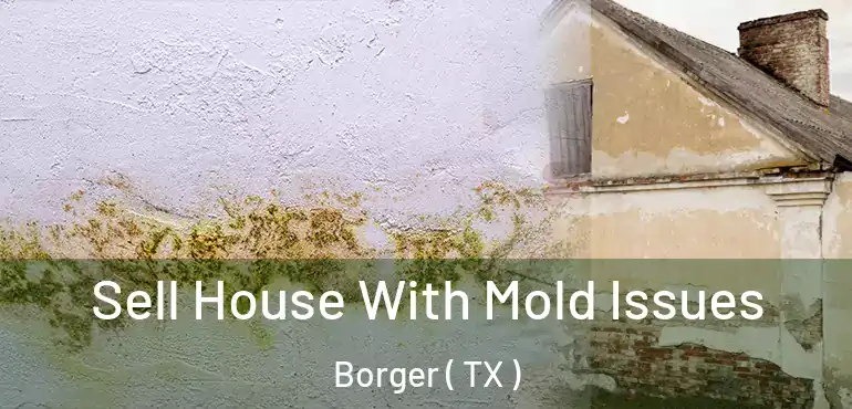  Sell House With Mold Issues Borger ( TX )