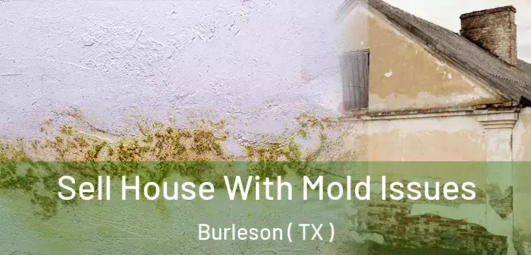  Sell House With Mold Issues Burleson ( TX )