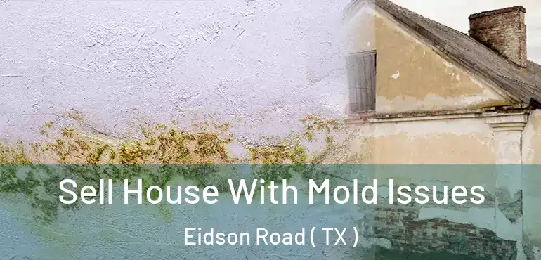  Sell House With Mold Issues Eidson Road ( TX )