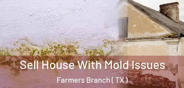  Sell House With Mold Issues Farmers Branch ( TX )