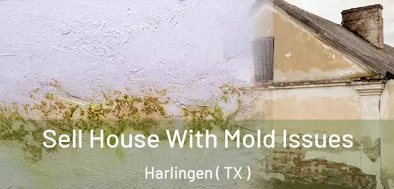  Sell House With Mold Issues Harlingen ( TX )
