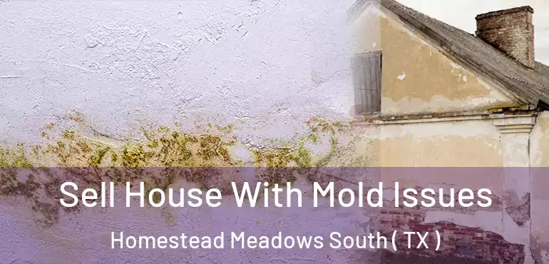  Sell House With Mold Issues Homestead Meadows South ( TX )
