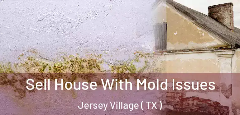  Sell House With Mold Issues Jersey Village ( TX )