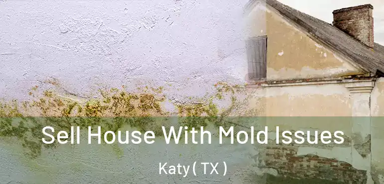  Sell House With Mold Issues Katy ( TX )