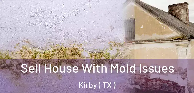  Sell House With Mold Issues Kirby ( TX )