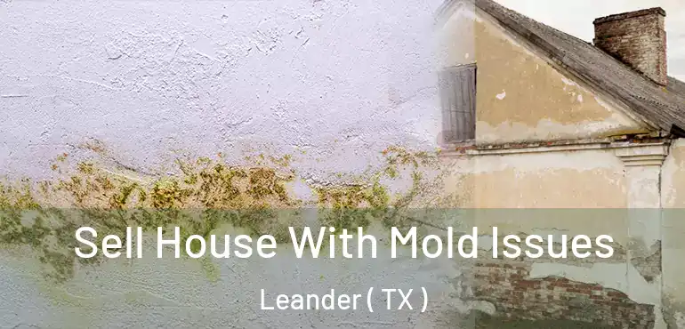  Sell House With Mold Issues Leander ( TX )