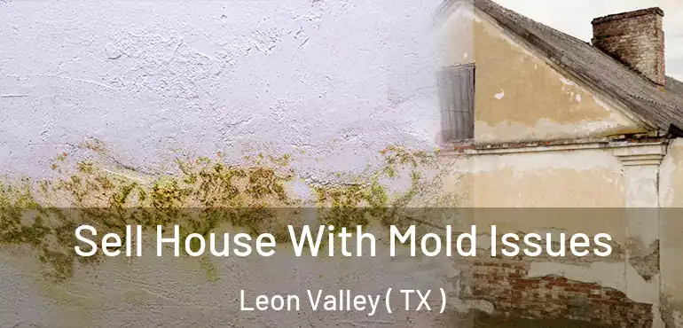  Sell House With Mold Issues Leon Valley ( TX )