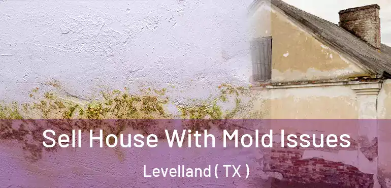  Sell House With Mold Issues Levelland ( TX )