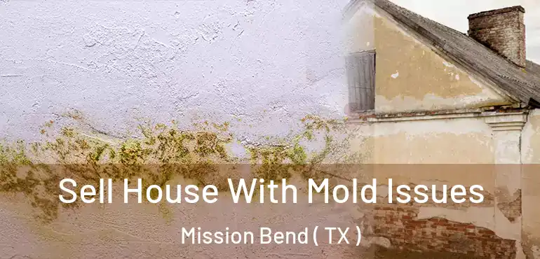  Sell House With Mold Issues Mission Bend ( TX )