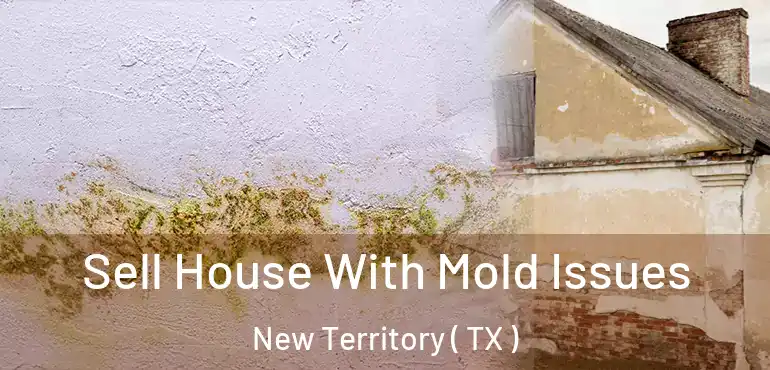 Sell House With Mold Issues New Territory ( TX )