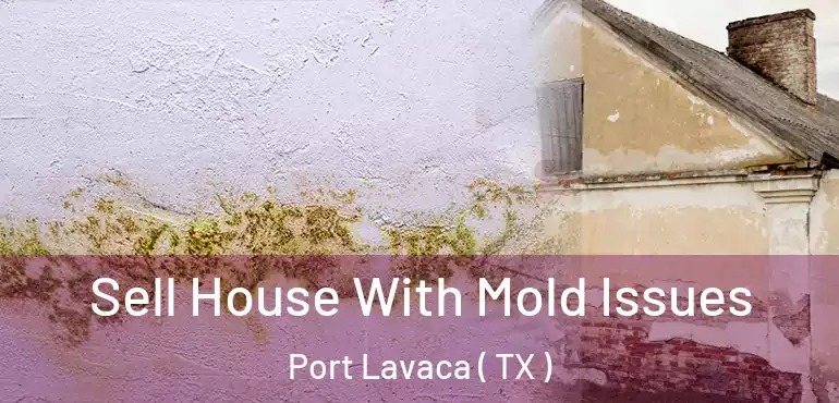  Sell House With Mold Issues Port Lavaca ( TX )