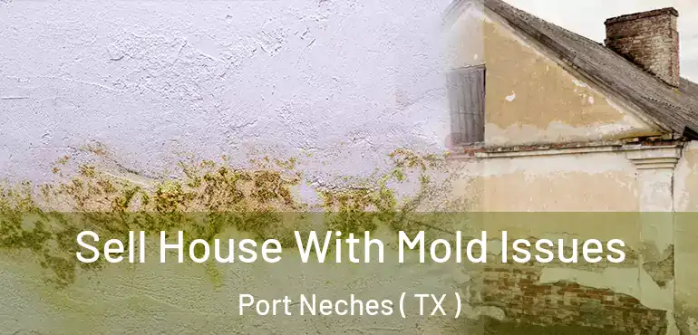  Sell House With Mold Issues Port Neches ( TX )