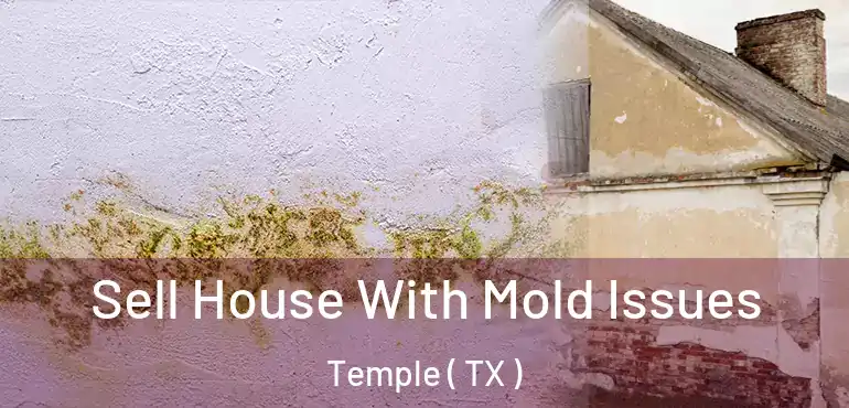  Sell House With Mold Issues Temple ( TX )