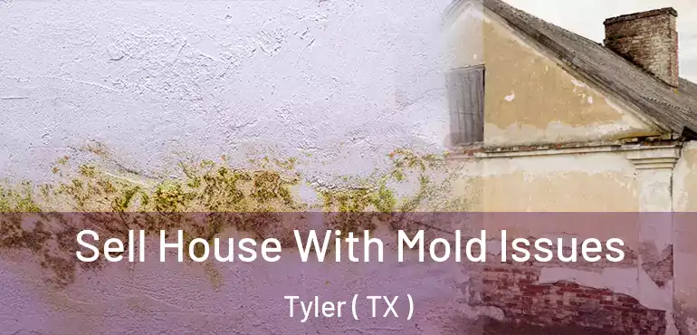  Sell House With Mold Issues Tyler ( TX )
