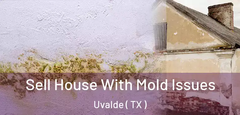  Sell House With Mold Issues Uvalde ( TX )