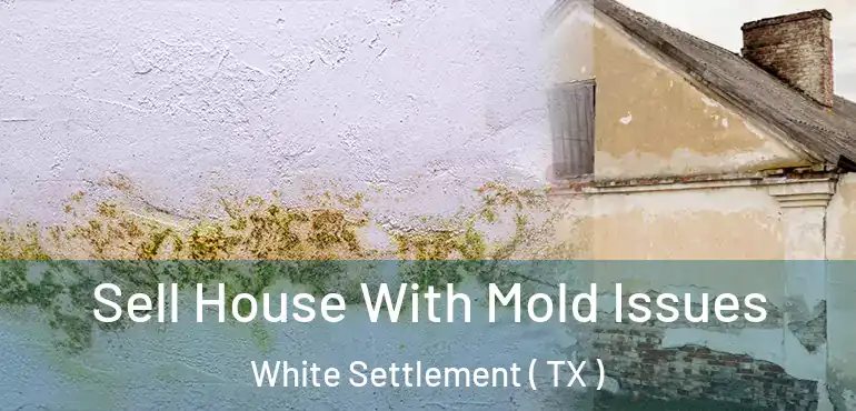  Sell House With Mold Issues White Settlement ( TX )
