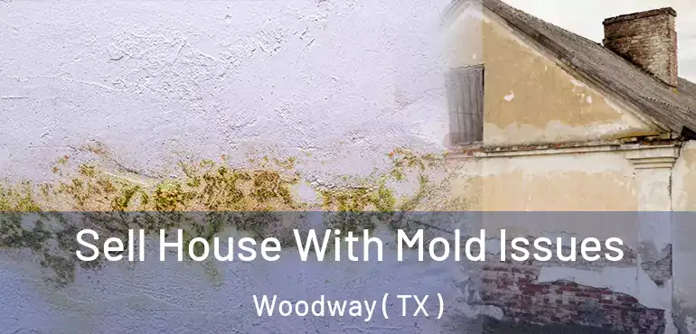  Sell House With Mold Issues Woodway ( TX )