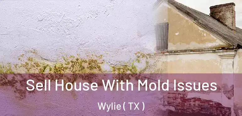  Sell House With Mold Issues Wylie ( TX )