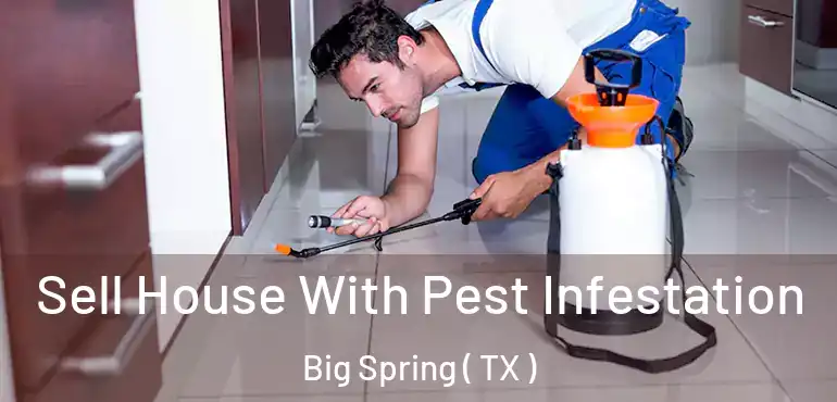  Sell House With Pest Infestation Big Spring ( TX )
