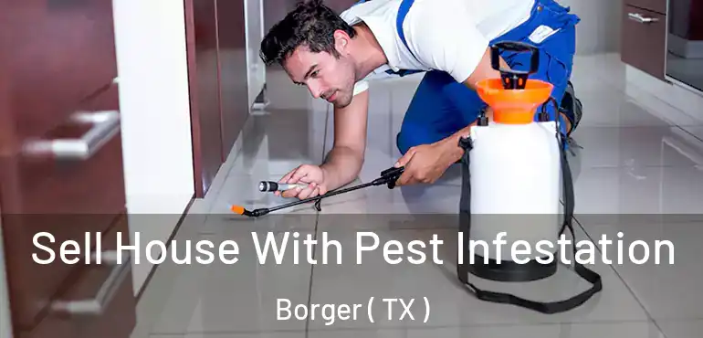  Sell House With Pest Infestation Borger ( TX )