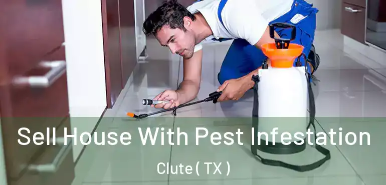  Sell House With Pest Infestation Clute ( TX )