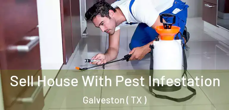  Sell House With Pest Infestation Galveston ( TX )