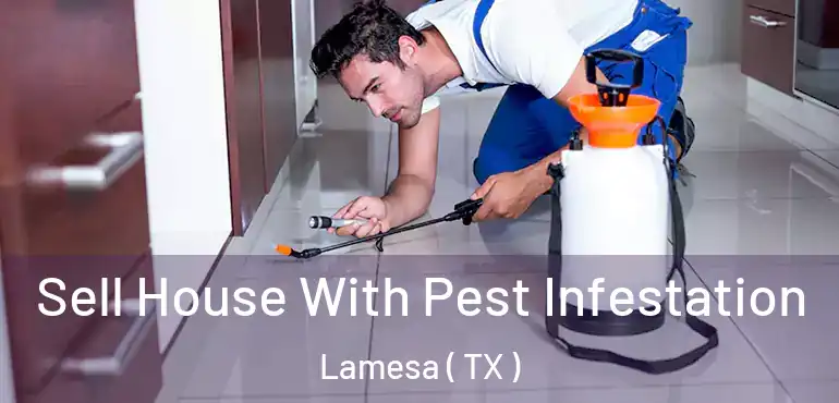  Sell House With Pest Infestation Lamesa ( TX )