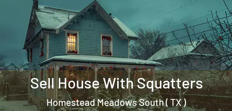  Sell House With Squatters Homestead Meadows South ( TX )