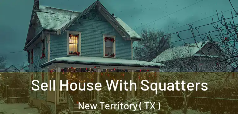  Sell House With Squatters New Territory ( TX )