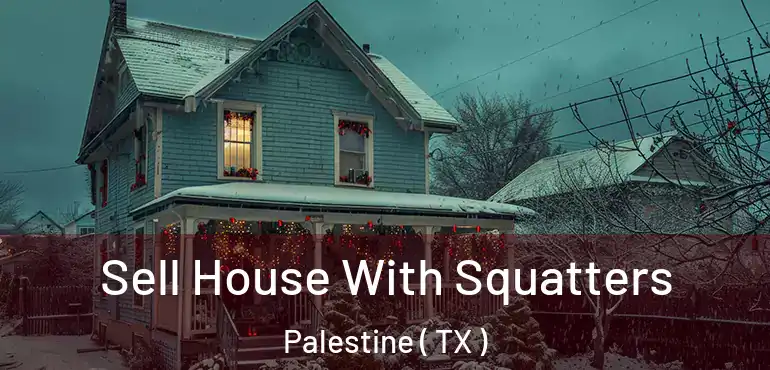 Sell House With Squatters Palestine ( TX )