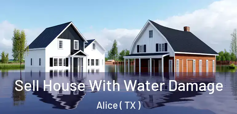  Sell House With Water Damage Alice ( TX )