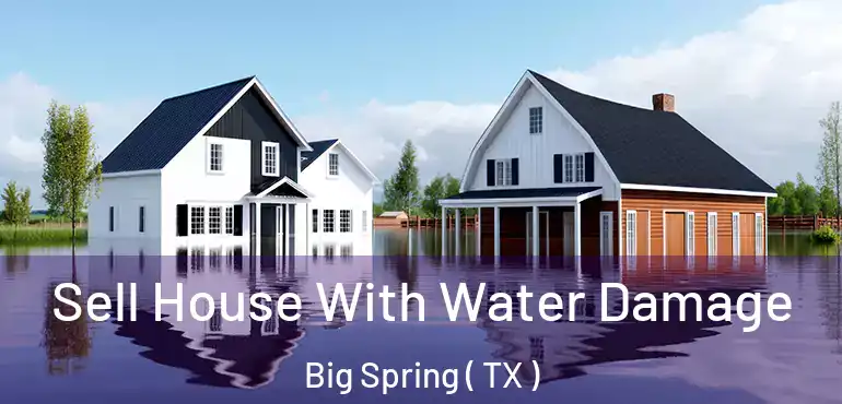  Sell House With Water Damage Big Spring ( TX )