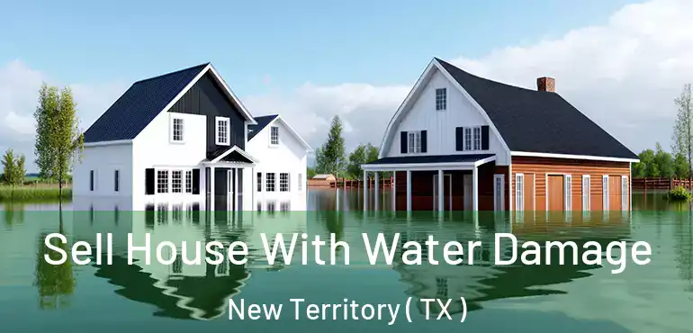  Sell House With Water Damage New Territory ( TX )