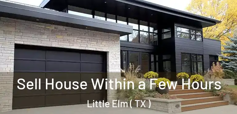  Sell House Within a Few Hours Little Elm ( TX )
