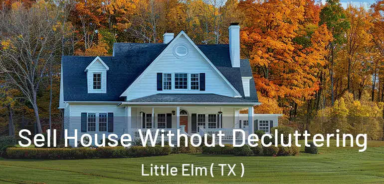  Sell House Without Decluttering Little Elm ( TX )