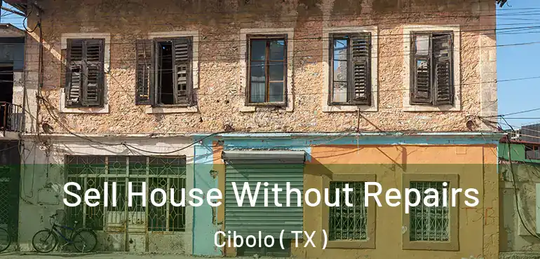 Sell House Without Repairs Cibolo ( TX )
